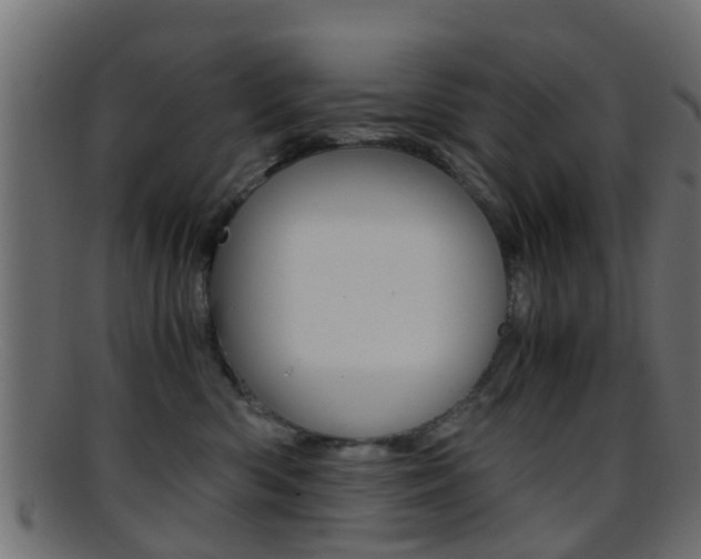 X0000095690426200801081043