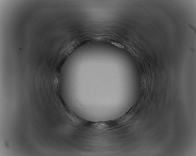 X0000095690427200801081043