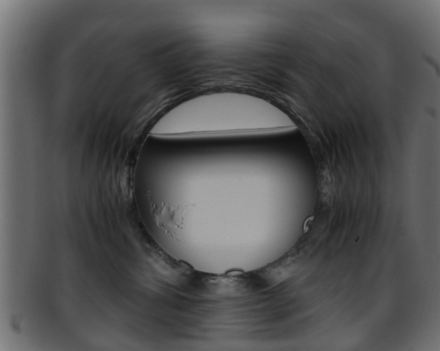 X0000095690428200801081043