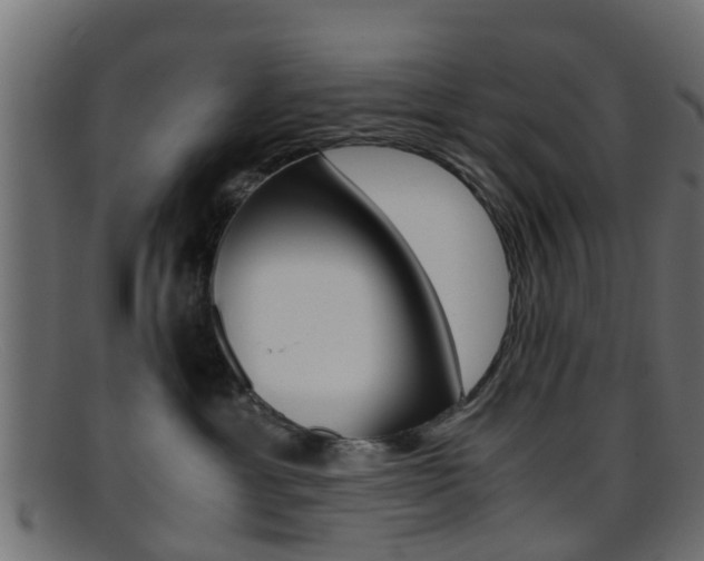 X0000095690429200801081043