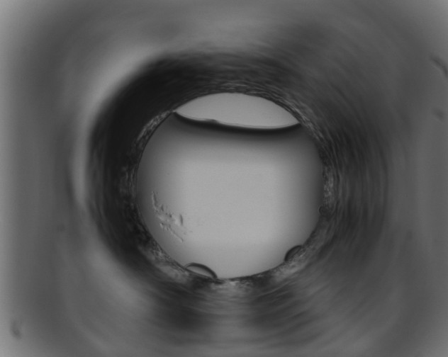 X0000095690430200801081043