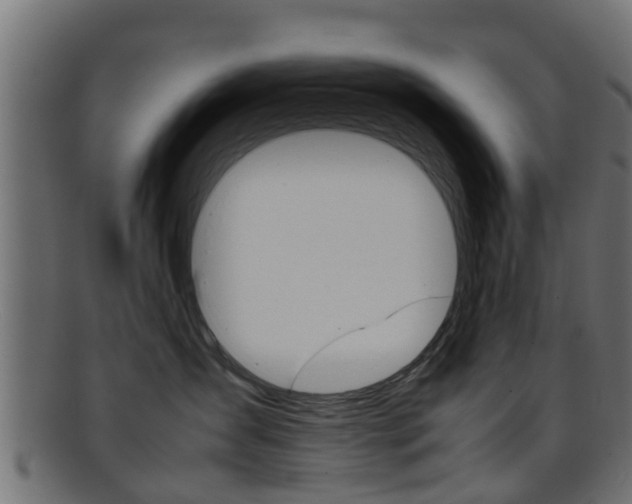 X0000095690431200801081043
