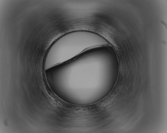 X0000095690434200801081042