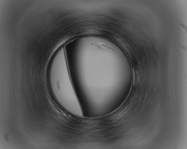 X0000095690435200801081042