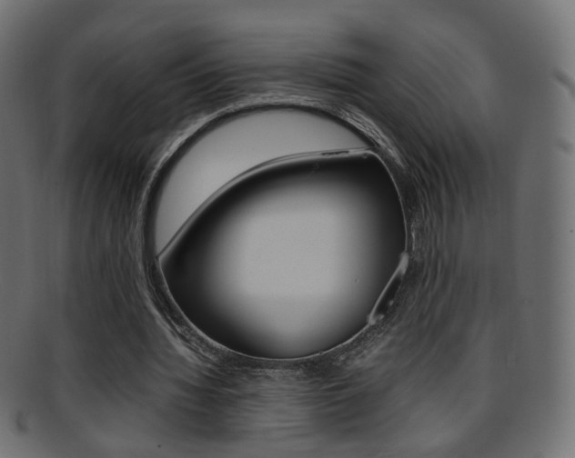 X0000095690436200801081042