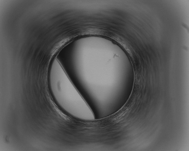 X0000095690437200801081042