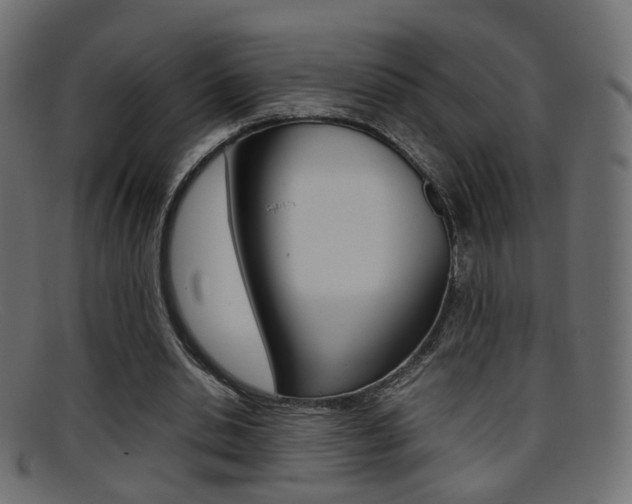 X0000095690438200801081042
