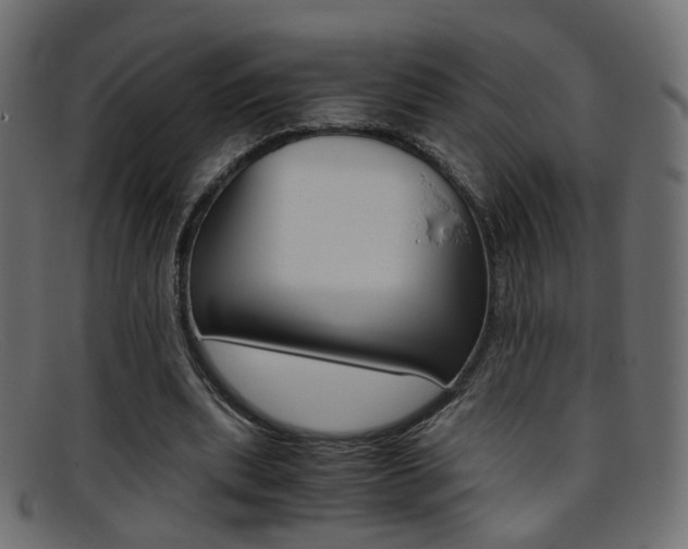 X0000095690439200801081042