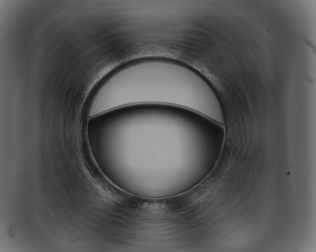 X0000095690440200801081042