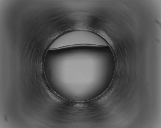 X0000095690441200801081042