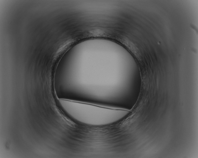 X0000095690442200801081042