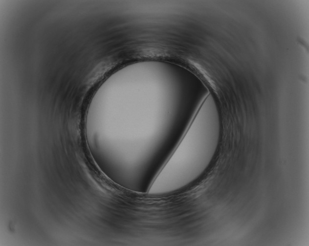 X0000095690443200801081042