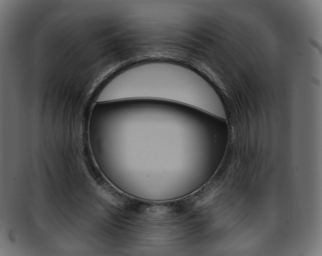 X0000095690444200801081042