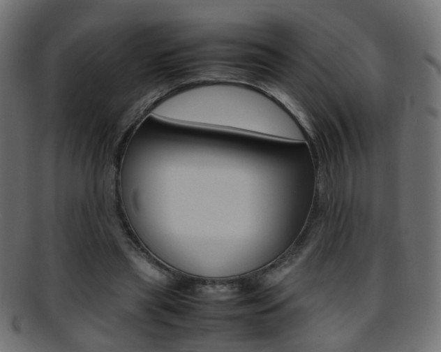 X0000095690445200801081042