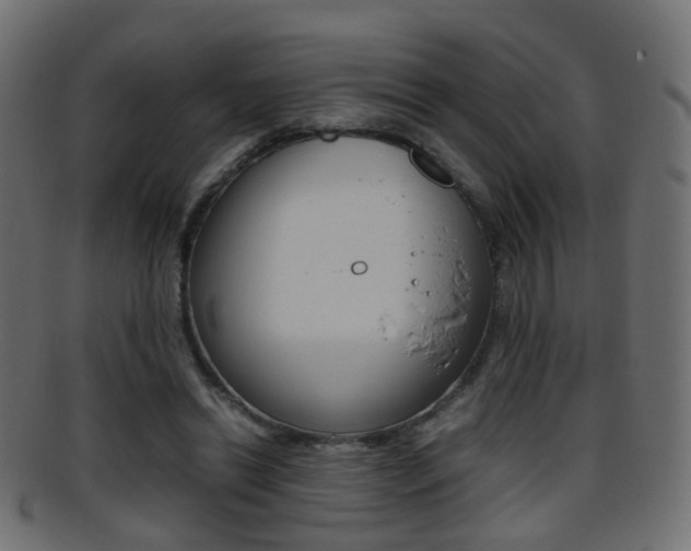 X0000095690446200801081042