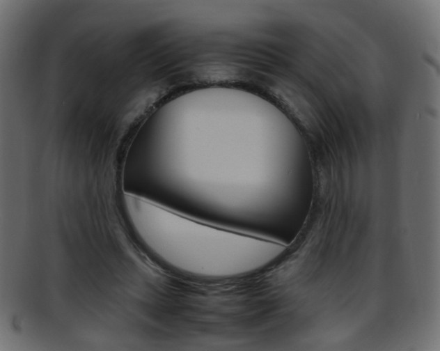 X0000095690447200801081042