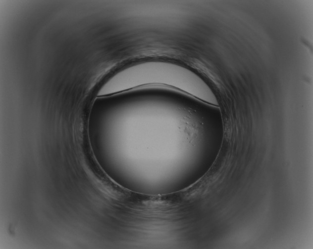 X0000095690448200801081042