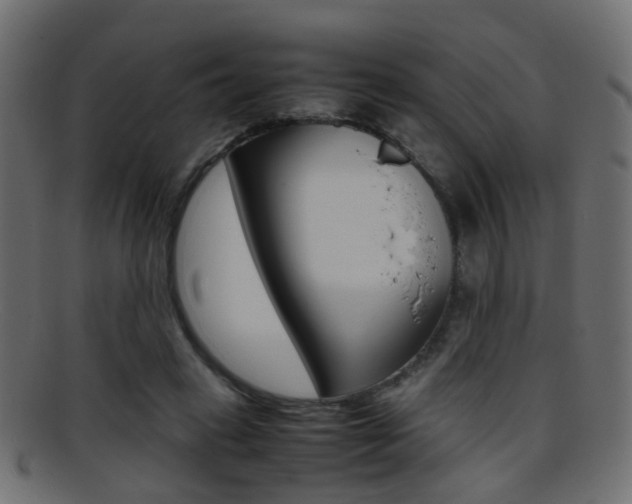 X0000095690449200801081042