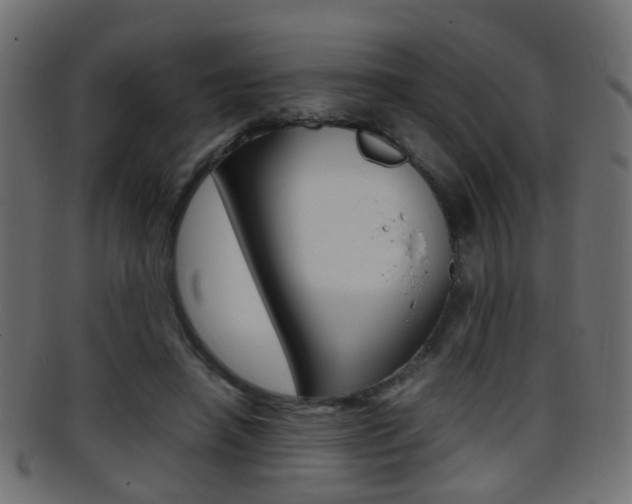 X0000095690450200801081042