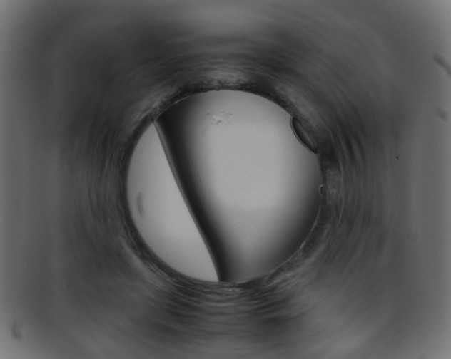 X0000095690451200801081042
