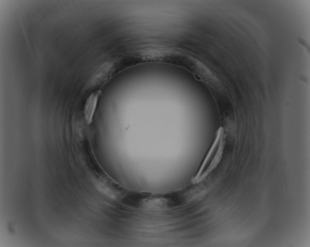 X0000095690452200801081042