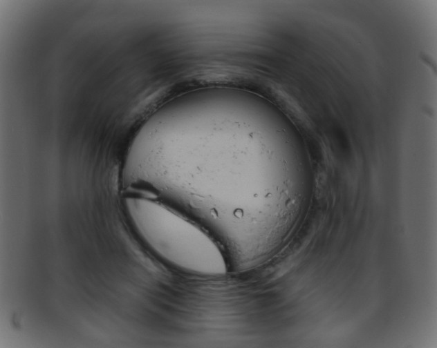 X0000095690454200801081042