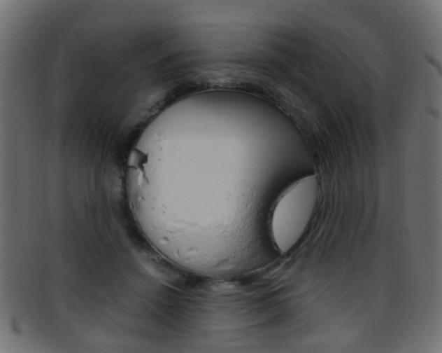 X0000095690456200801081042