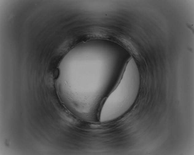 X0000095690457200801081042