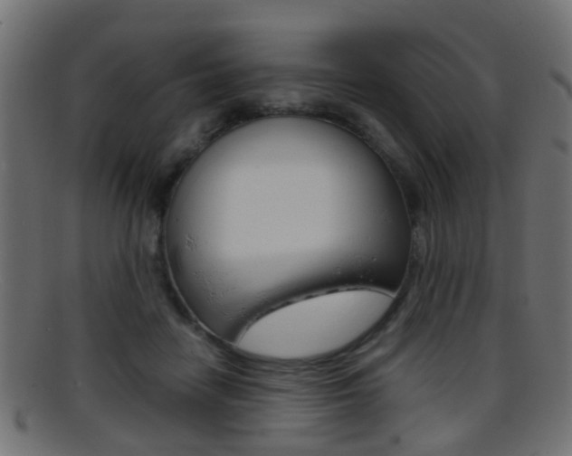 X0000095690458200801081042