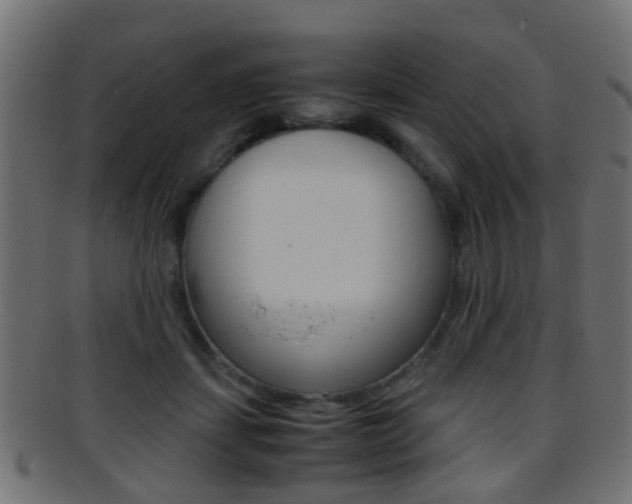X0000095690459200801081042