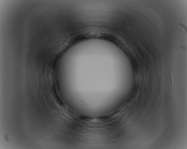 X0000095690460200801081042