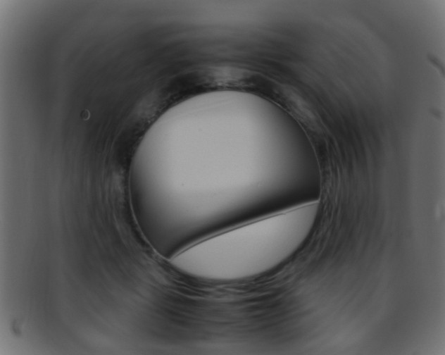 X0000095690461200801081042