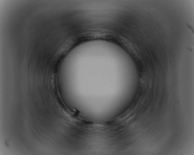 X0000095690462200801081042