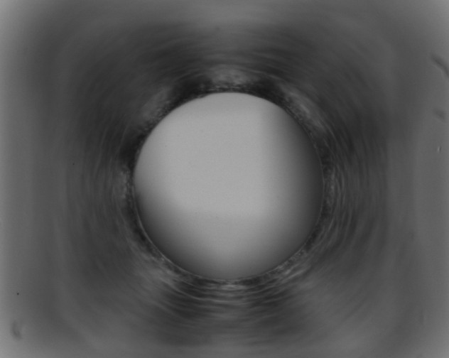 X0000095690463200801081042