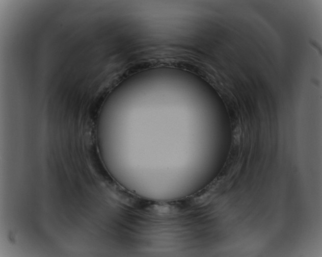 X0000095690464200801081042