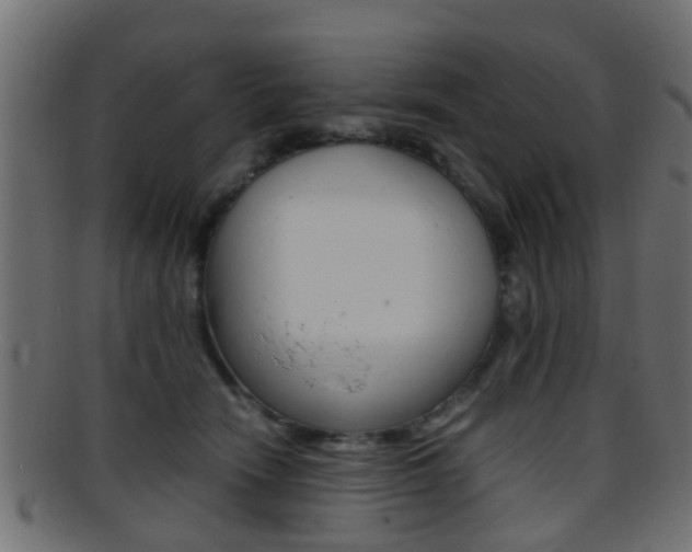 X0000095690466200801081042