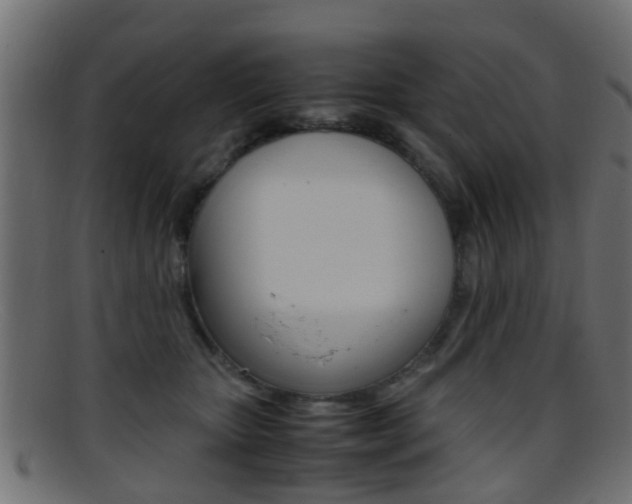 X0000095690467200801081042