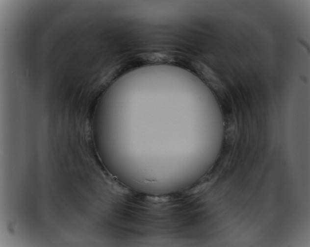 X0000095690469200801081042