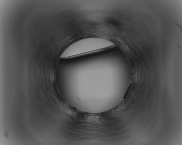 X0000095690471200801081042