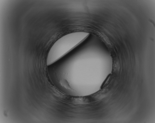 X0000095690473200801081043