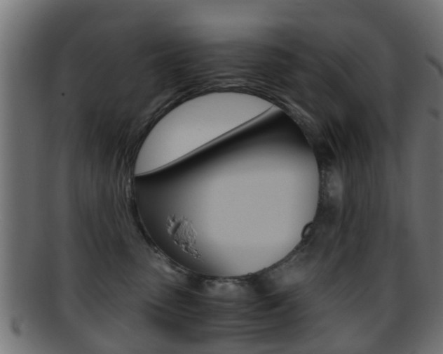 X0000095690475200801081043