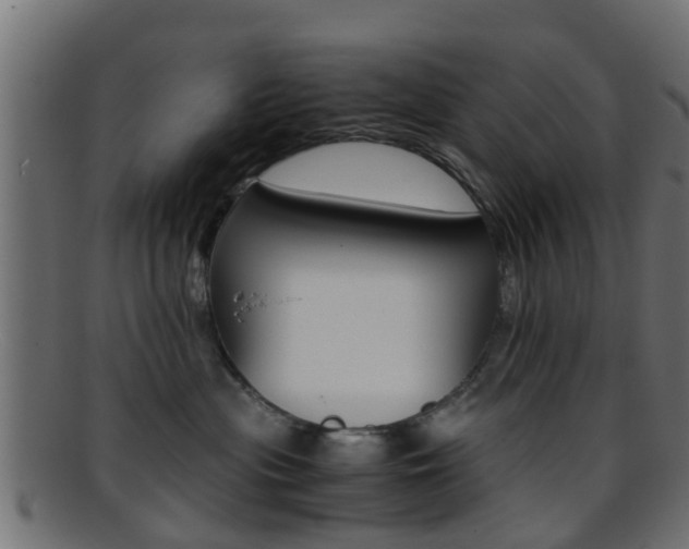 X0000095690477200801081043