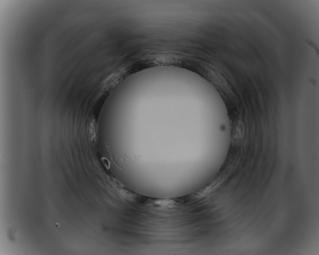 X0000095690478200801081043
