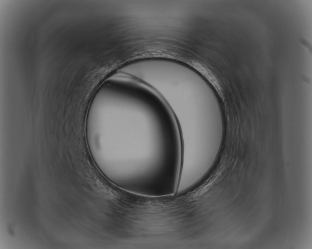 X0000095690481200801081042
