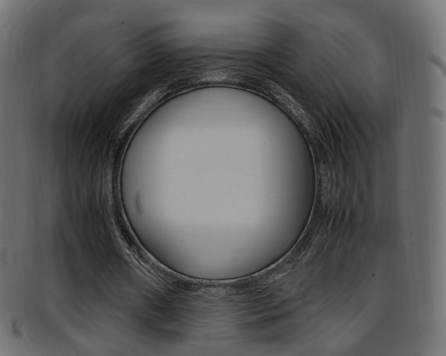 X0000095690482200801081042