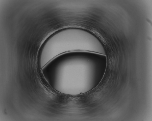 X0000095690484200801081042