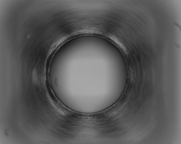 X0000095690486200801081042