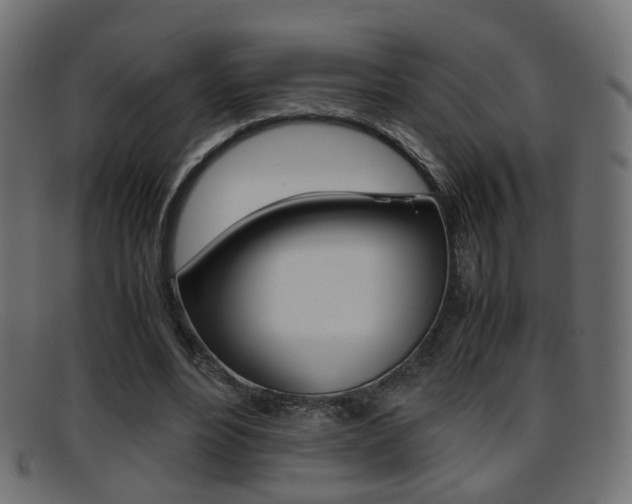 X0000095690488200801081042