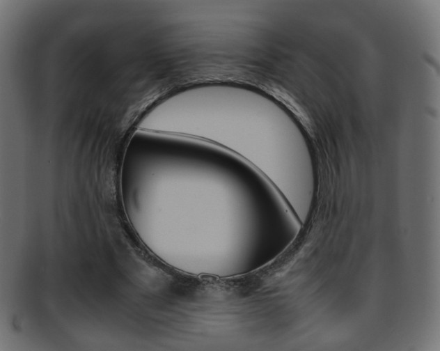 X0000095690489200801081042