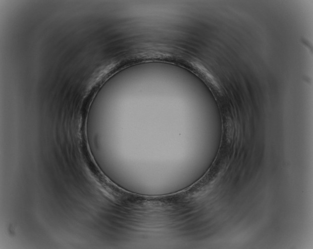 X0000095690490200801081042